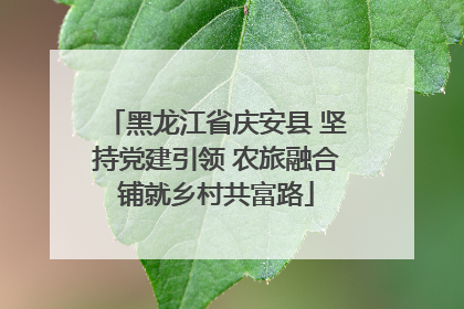 黑龙江省庆安县 坚持党建引领 农旅融合铺就乡村共富路